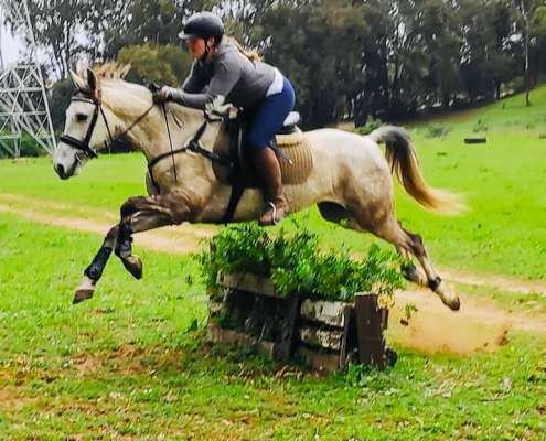 ranch siesta los rubios cross country training