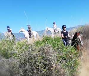 Saddle up experience - beginners horse riding at Ranch Siesta Los Rubios Estepona