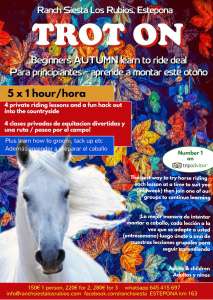 Learn to horse ride in Estepona at Ranch Siesta Los Rubios