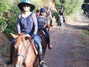 Hacking horses Estepona with Ranch Siesta Los Rubios riding stables