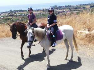 Hacking horses Estepona with Ranch Siesta Los Rubios riding stables