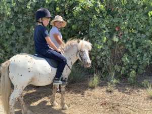 Happy horses and riders at Ranch Siesta Los Rubios Estepona