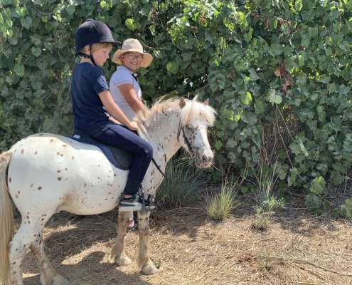 Happy horses and riders at Ranch Siesta Los Rubios Estepona