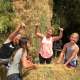 Hay helpers - moiving hay at Ranch Siesta Los Rubios Estepona before the rain