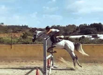 Jumping lessons at Ranch Siesta Los Rubios, Estepona