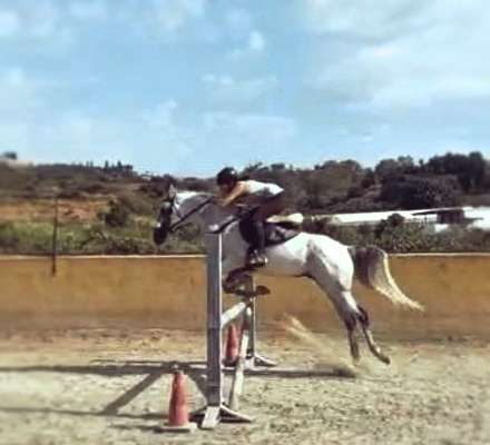 Jumping lessons at Ranch Siesta Los Rubios, Estepona