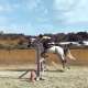 Jumping lessons at Ranch Siesta Los Rubios, Estepona