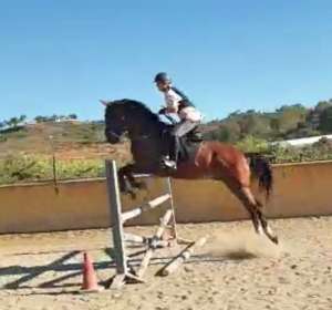 Adult jumping lessons at Ranch Siesta Los Rubios Estepona