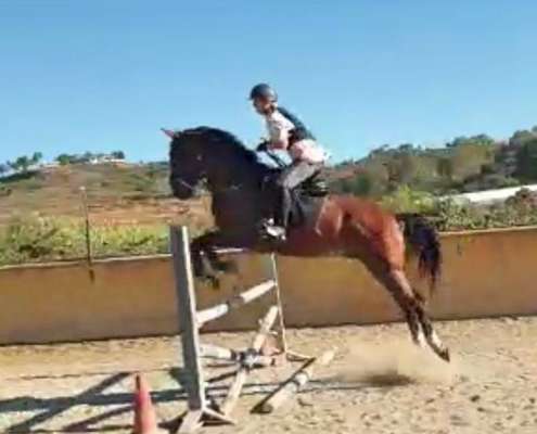Adult jumping lessons at Ranch Siesta Los Rubios Estepona