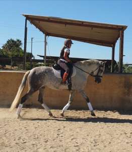 Hacks in Estepona with Ranch Siesta Los Rubios - video