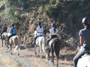 Hacking horses Estepona with Ranch Siesta Los Rubios riding stables