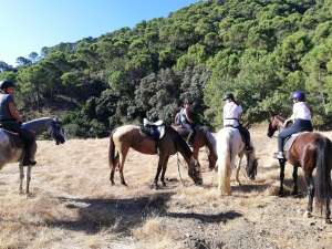 Hacking horses Estepona with Ranch Siesta Los Rubios riding stables