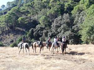 Hacking horses Estepona with Ranch Siesta Los Rubios riding stables