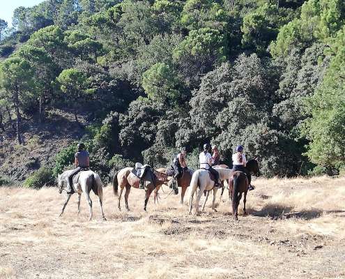 Hacking horses Estepona with Ranch Siesta Los Rubios riding stables