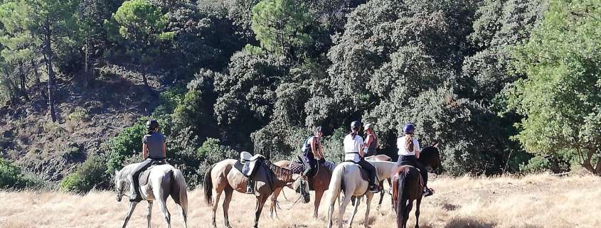 Hacking horses Estepona with Ranch Siesta Los Rubios riding stables