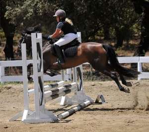 Showjumping competition Ranch Siesta Los Rubios