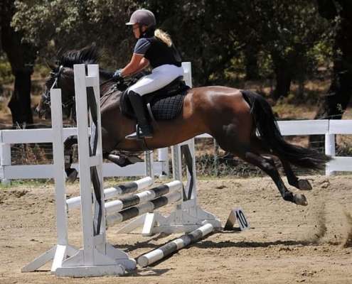 Showjumping competition Ranch Siesta Los Rubios
