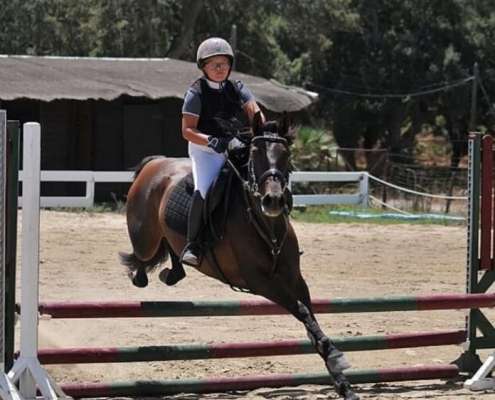 Showjumping competition Ranch Siesta Los Rubios