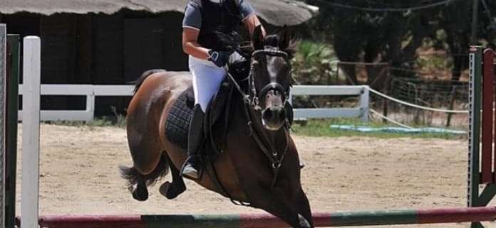 Showjumping competition Ranch Siesta Los Rubios