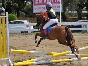 Showjumping competition Ranch Siesta Los Rubios