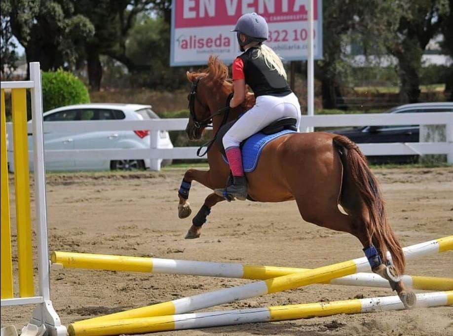 Showjumping competition Ranch Siesta Los Rubios