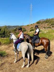 Happy horses and riders at Ranch Siesta Los Rubios Estepona