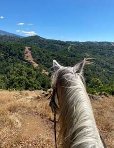 Happy horses and riders at Ranch Siesta Los Rubios Estepona