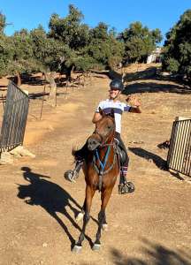 Ranch Siesta Los Rubios arabian endurance horse Arezu