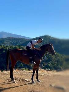 Ranch Siesta Los Rubios arabian endurance horse Arezu