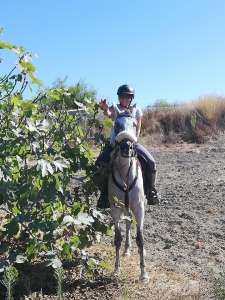 Happy horses and riders at Ranch Siesta Los Rubios Estepona