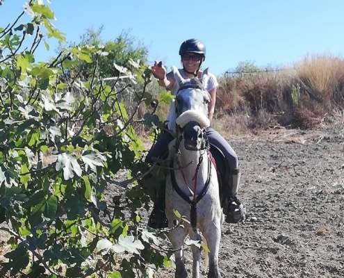 Happy horses and riders at Ranch Siesta Los Rubios Estepona