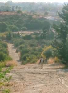 Happy horses and riders at Ranch Siesta Los Rubios Estepona