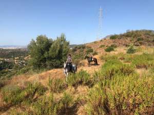 Happy horses and riders at Ranch Siesta Los Rubios Estepona