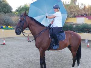 Photos of workshop at Ranch Siesta Los Rubios horse riding Estepona