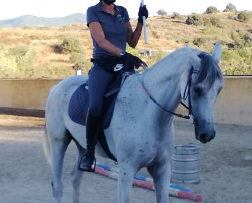 Photos of workshop at Ranch Siesta Los Rubios horse riding Estepona