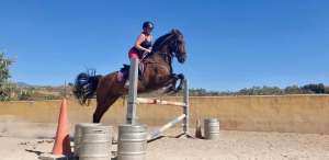 Learn to jump at Ranch Siesta Los Rubios Estepona
