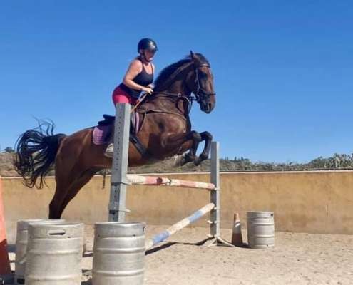 Learn to jump at Ranch Siesta Los Rubios Estepona