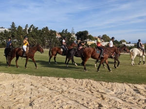 Ranch Siesta Los Rubios Estepona day trip to polo lesson