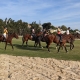 Ranch Siesta Los Rubios Estepona day trip to polo lesson