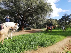 Mountain horse riding Estepona Ranch Siesta Los Rubios