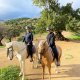 Mountain horse riding Estepona Ranch Siesta Los Rubios