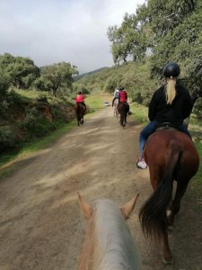 Mountain horse riding Estepona Ranch Siesta Los Rubios