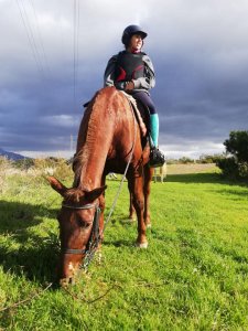 Mountain horse riding Estepona Ranch Siesta Los Rubios