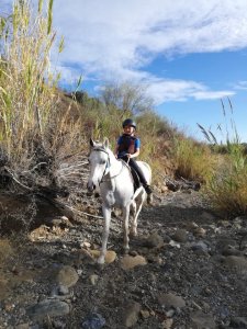 Mountain horse riding Estepona Ranch Siesta Los Rubios