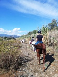 Mountain horse riding Estepona Ranch Siesta Los Rubios