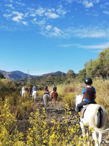 Mountain horse riding Estepona Ranch Siesta Los Rubios