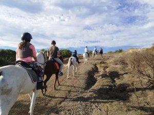 Mountain horse riding Estepona Ranch Siesta Los Rubios