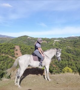 Mountain horse riding Estepona Ranch Siesta Los Rubios