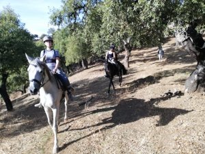 Mountain horse riding Estepona Ranch Siesta Los Rubios