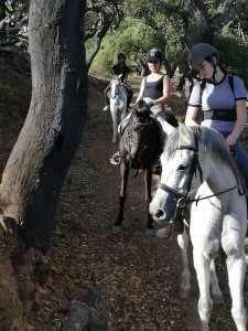 Mountain horse riding Estepona Ranch Siesta Los Rubios